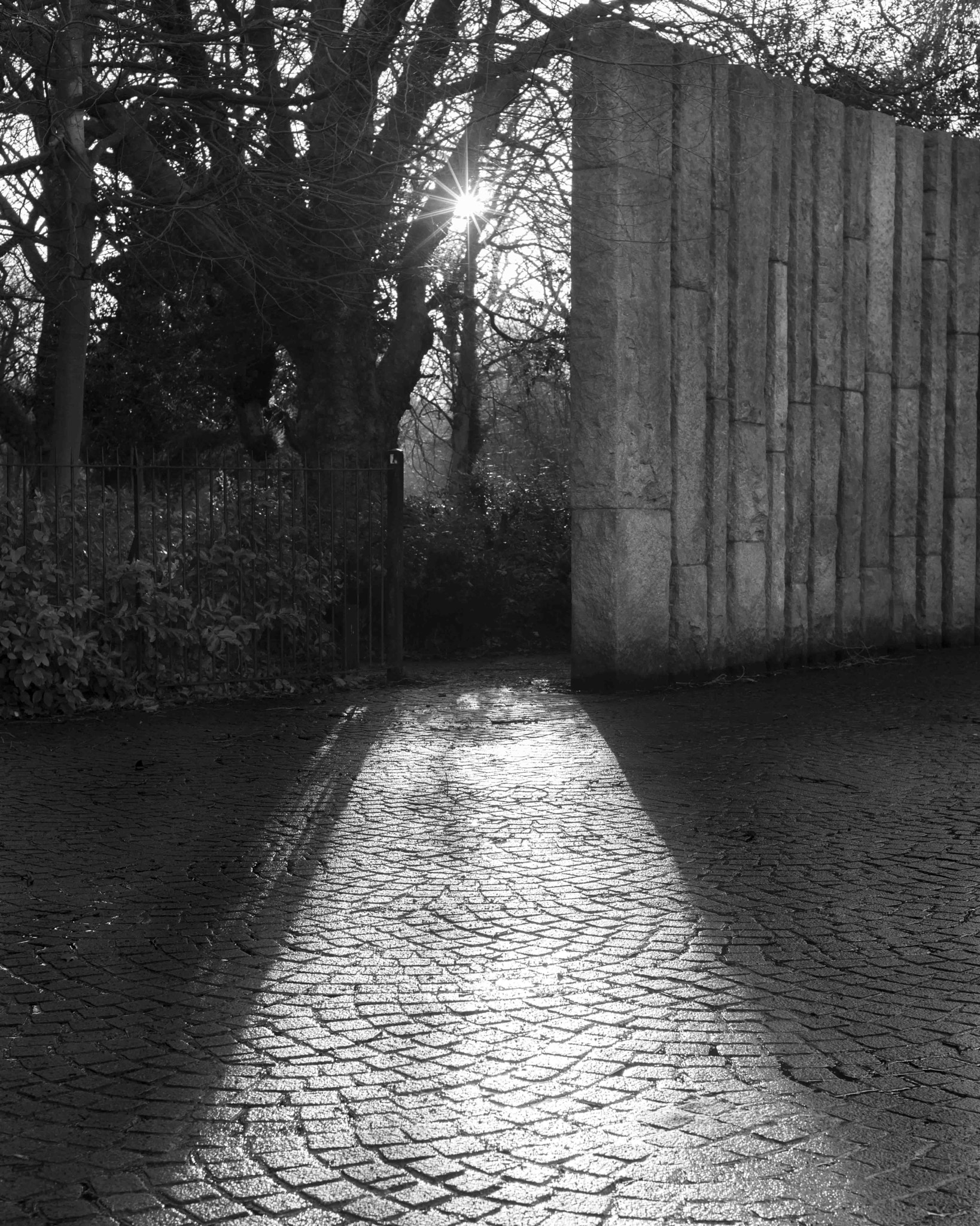 Nikon D800 + Nikon AF Nikkor 50mm F1.4D sample photo. Stephen's green, dublin photography