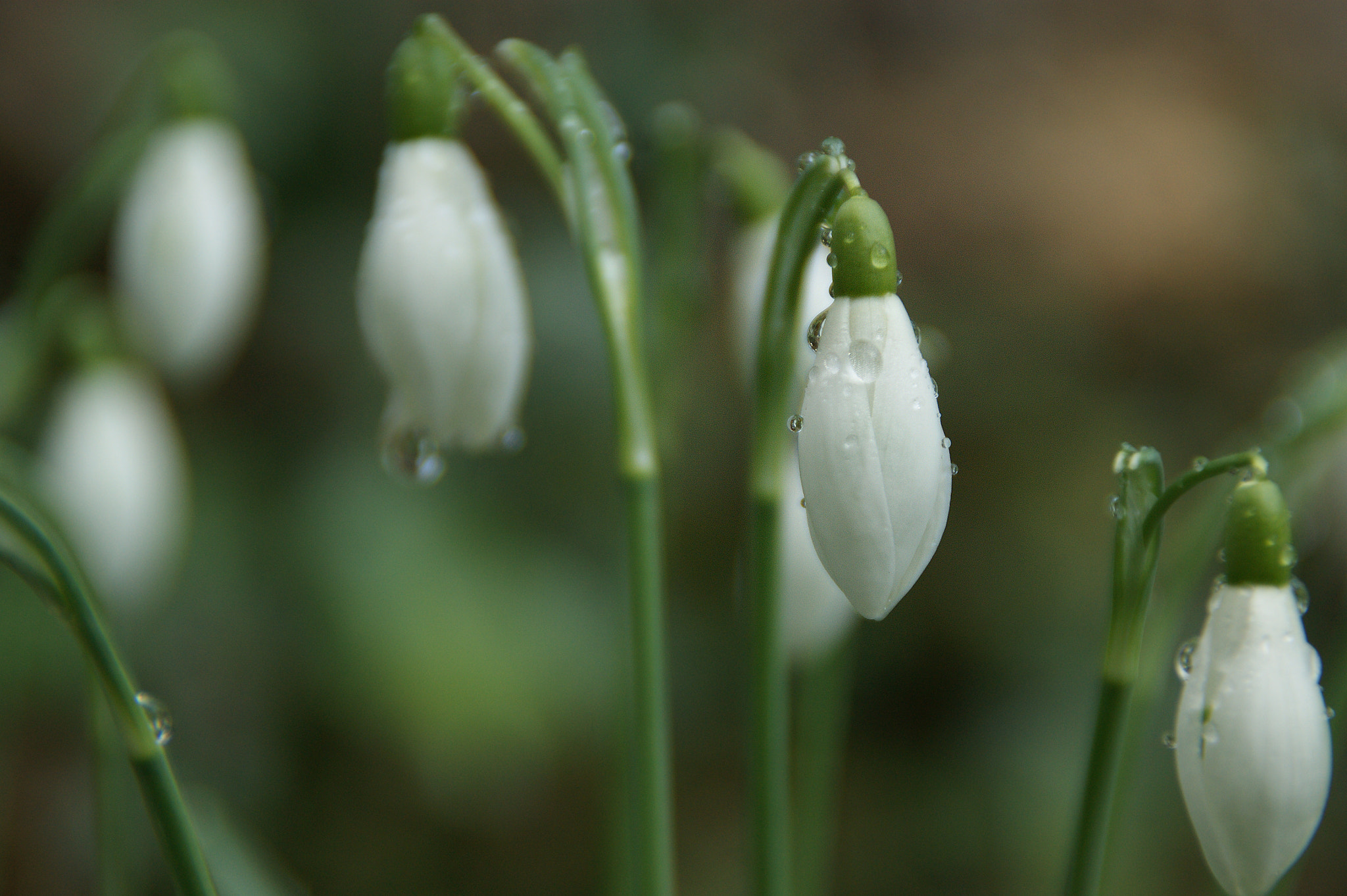 Sony DT 18-200mm F3.5-6.3 sample photo. Untitled photography