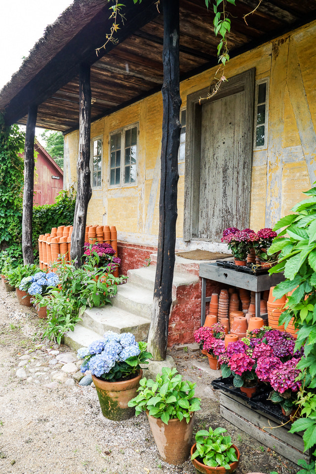 Sony DT 18-200mm F3.5-6.3 sample photo. Dream house photography