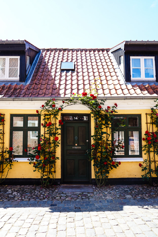 Sony DT 18-200mm F3.5-6.3 sample photo. Little house photography