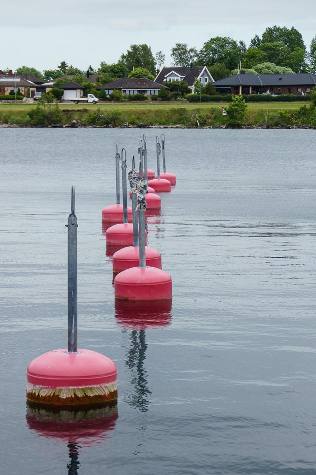 Sony DT 18-200mm F3.5-6.3 sample photo. Buoys photography