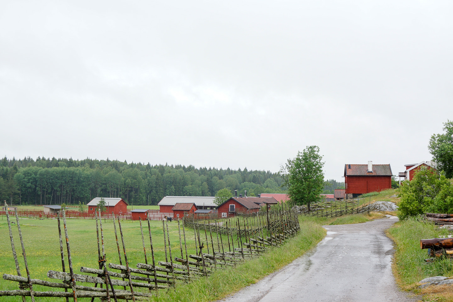Sony DT 18-200mm F3.5-6.3 sample photo. Farmland photography