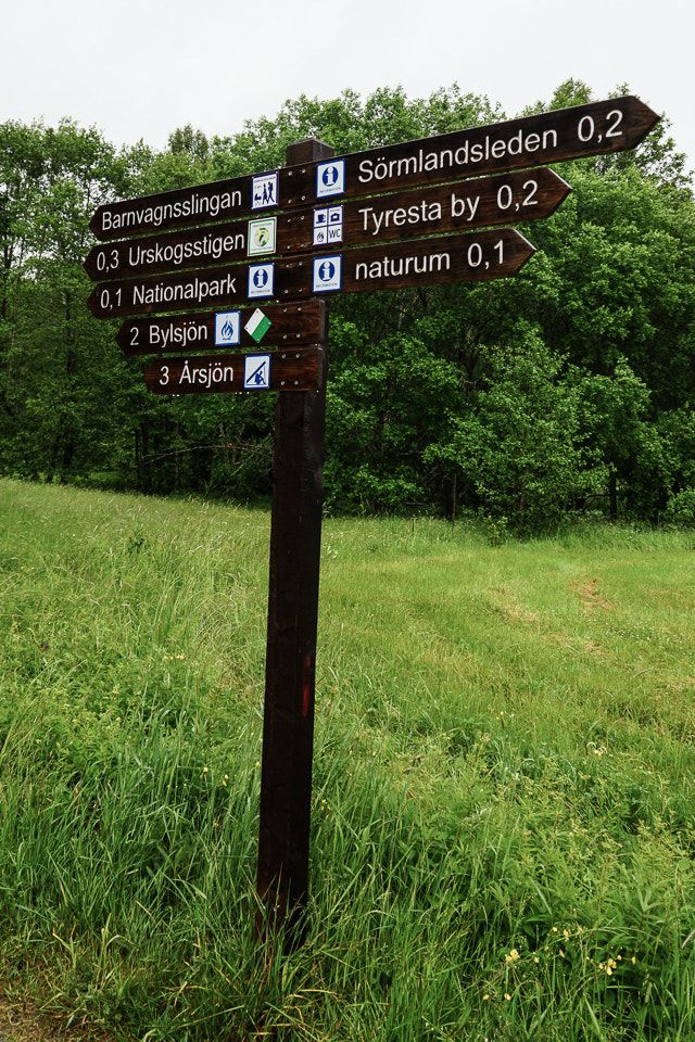 Sony DT 18-200mm F3.5-6.3 sample photo. Trailheads photography