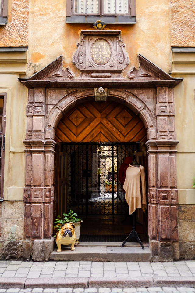Sony DT 18-200mm F3.5-6.3 sample photo. Doorway photography