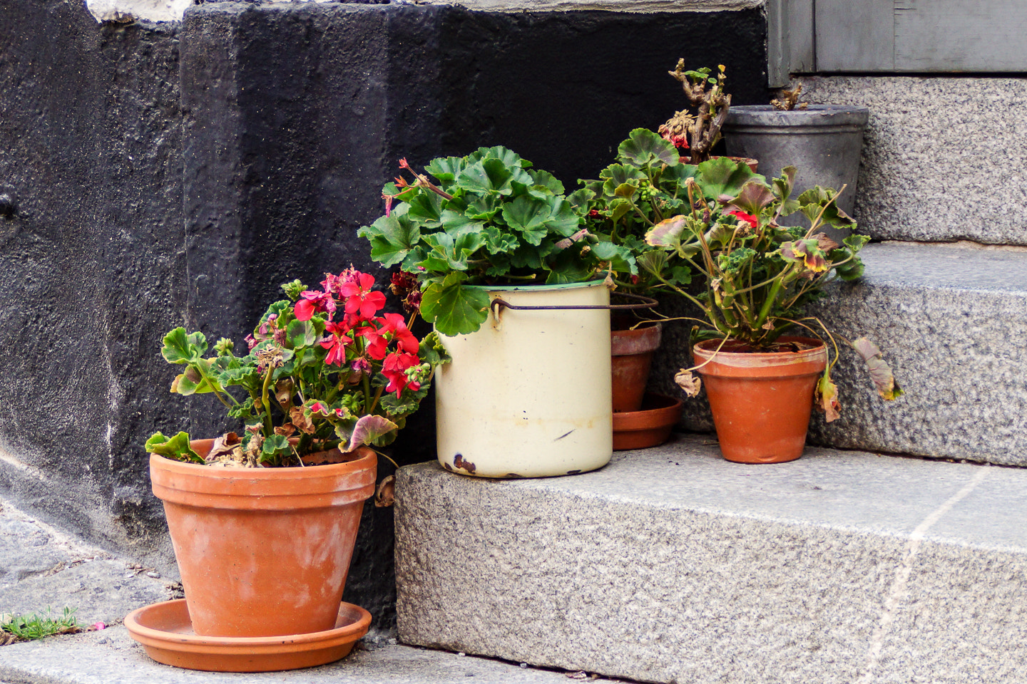 Sony DT 18-200mm F3.5-6.3 sample photo. Flowerpots photography