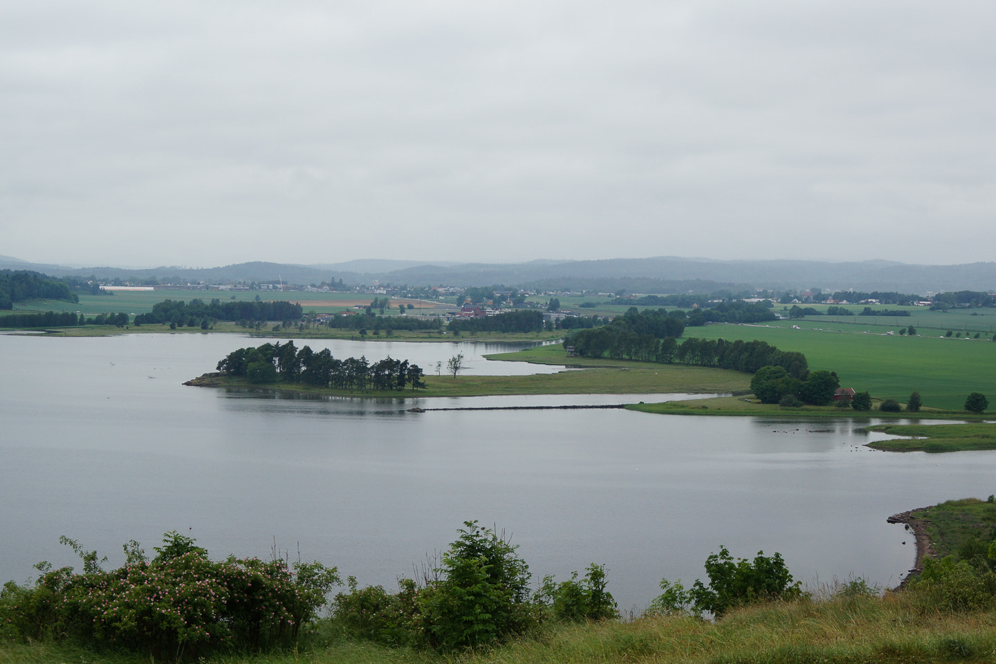 Sony DT 18-200mm F3.5-6.3 sample photo. Gloomy day photography