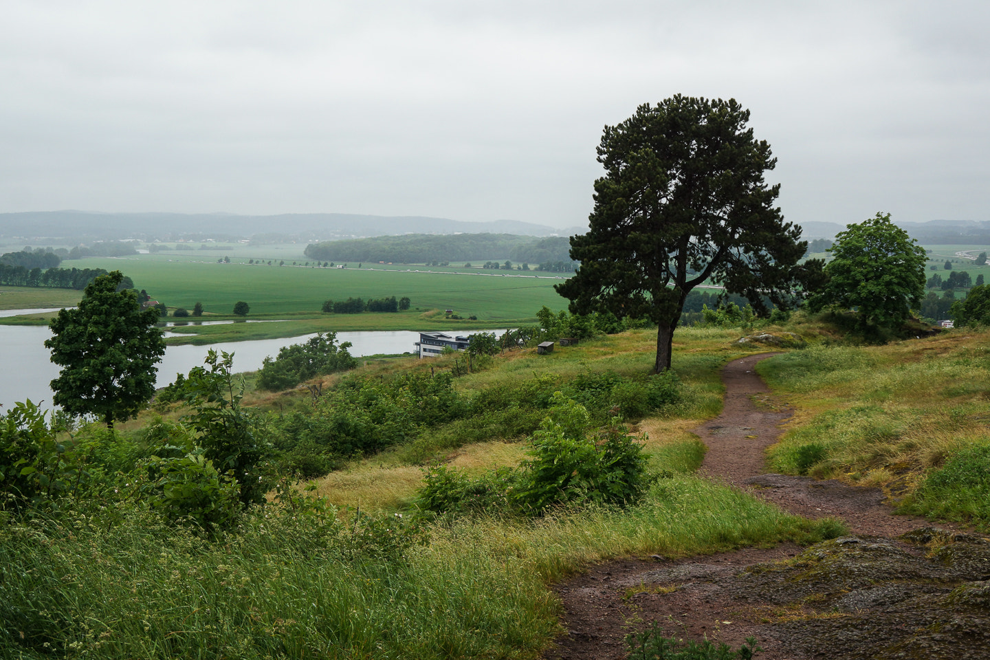 Sony DT 18-200mm F3.5-6.3 sample photo. Path photography