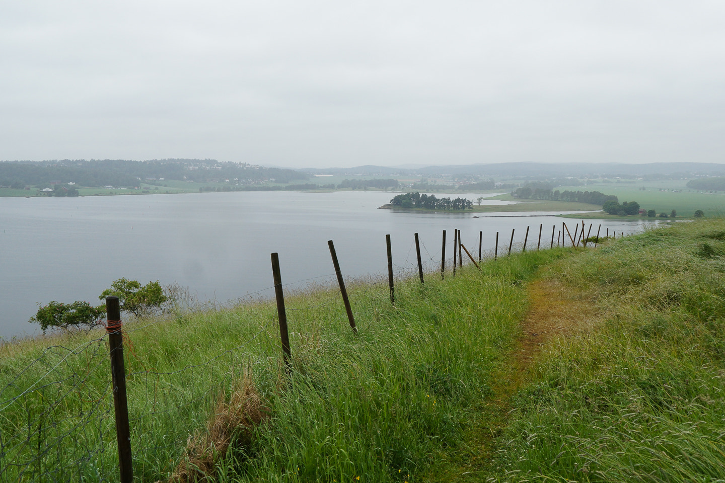Sony DT 18-200mm F3.5-6.3 sample photo. Borders photography