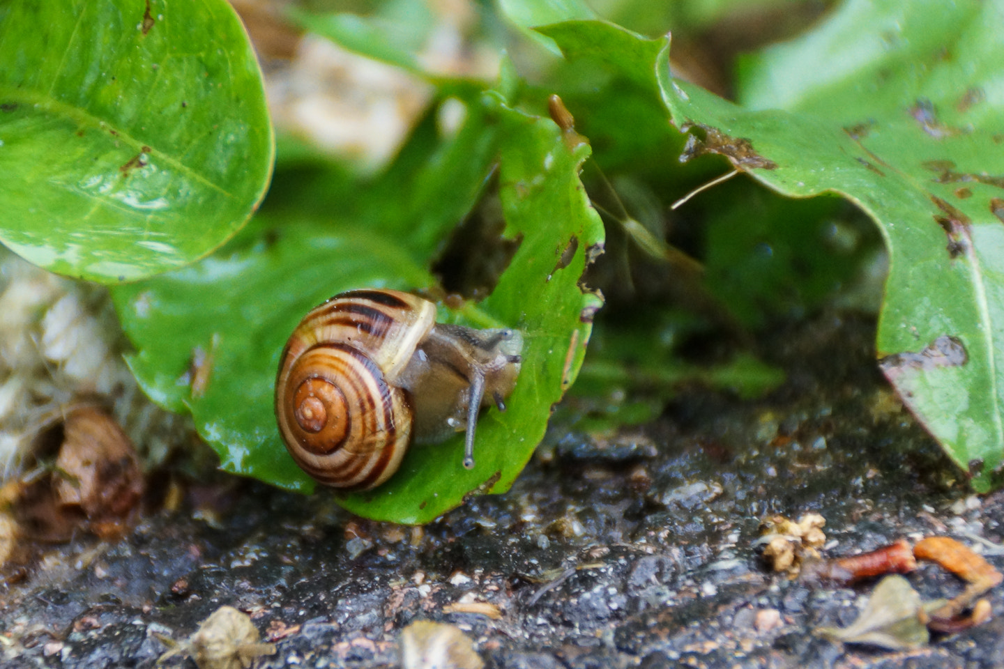 Sony DT 18-200mm F3.5-6.3 sample photo. Slow photography