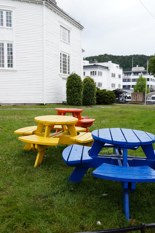 Sony DT 18-200mm F3.5-6.3 sample photo. Color photography