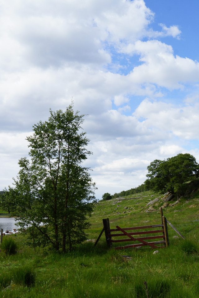 Sony DT 18-200mm F3.5-6.3 sample photo. Sunshine photography