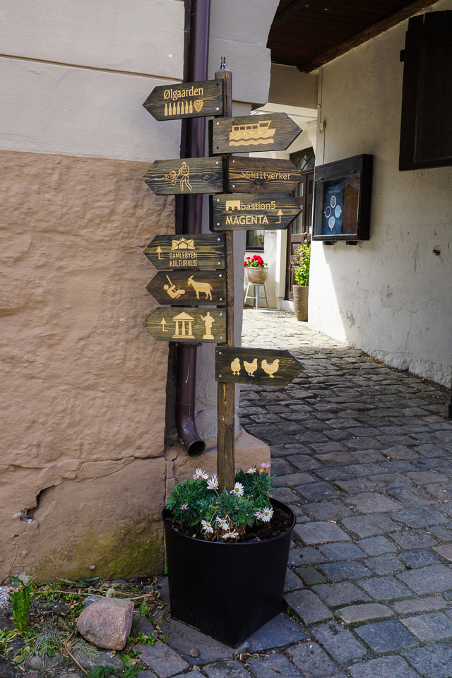 Sony DT 18-200mm F3.5-6.3 sample photo. Directions photography