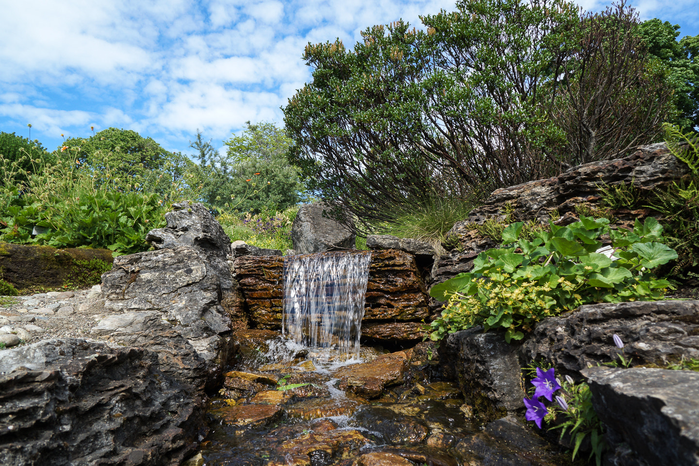 Sony DT 18-200mm F3.5-6.3 sample photo. Lovely photography