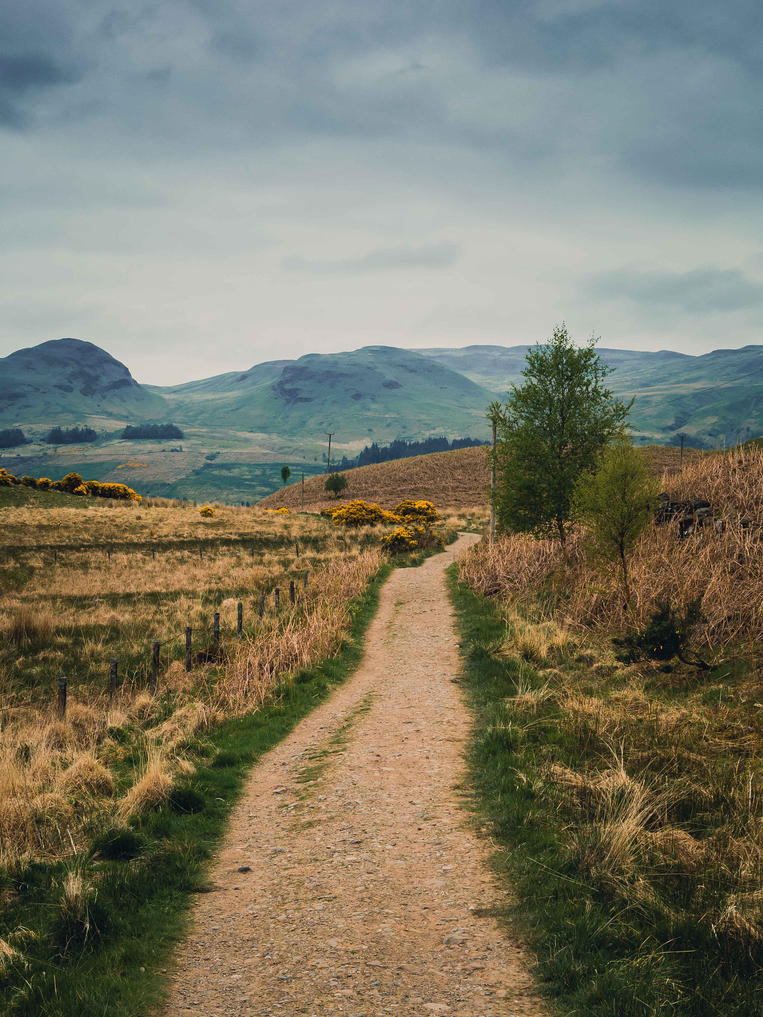 Olympus OM-D E-M10 sample photo. West highland way #3 photography