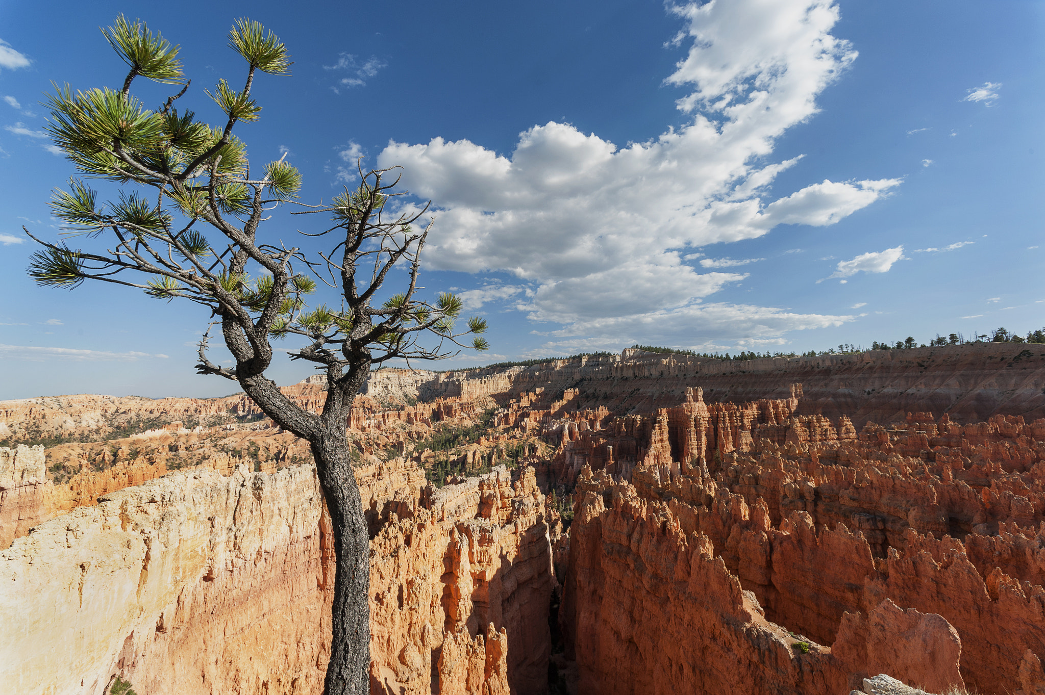 Nikon AF Nikkor 14mm F2.8D ED sample photo. Bryce canyon photography