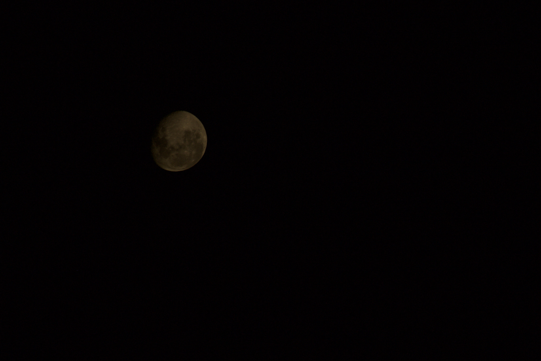 Canon EOS 600D (Rebel EOS T3i / EOS Kiss X5) sample photo. Fullsizeoutput ed photography