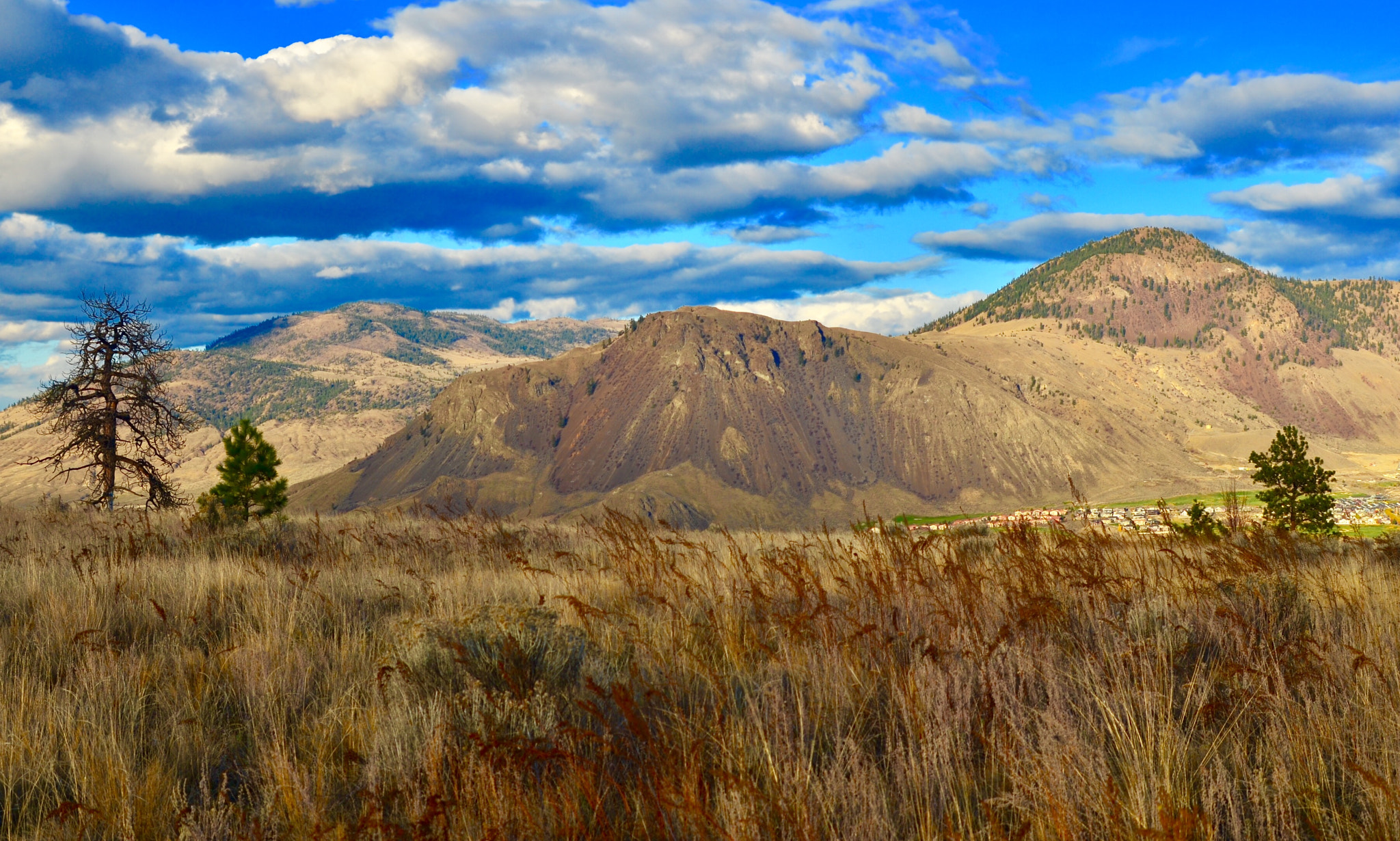 Nikon D7000 + AF Nikkor 50mm f/1.8 sample photo. Strawberry hill, mt paul, mt peter photography