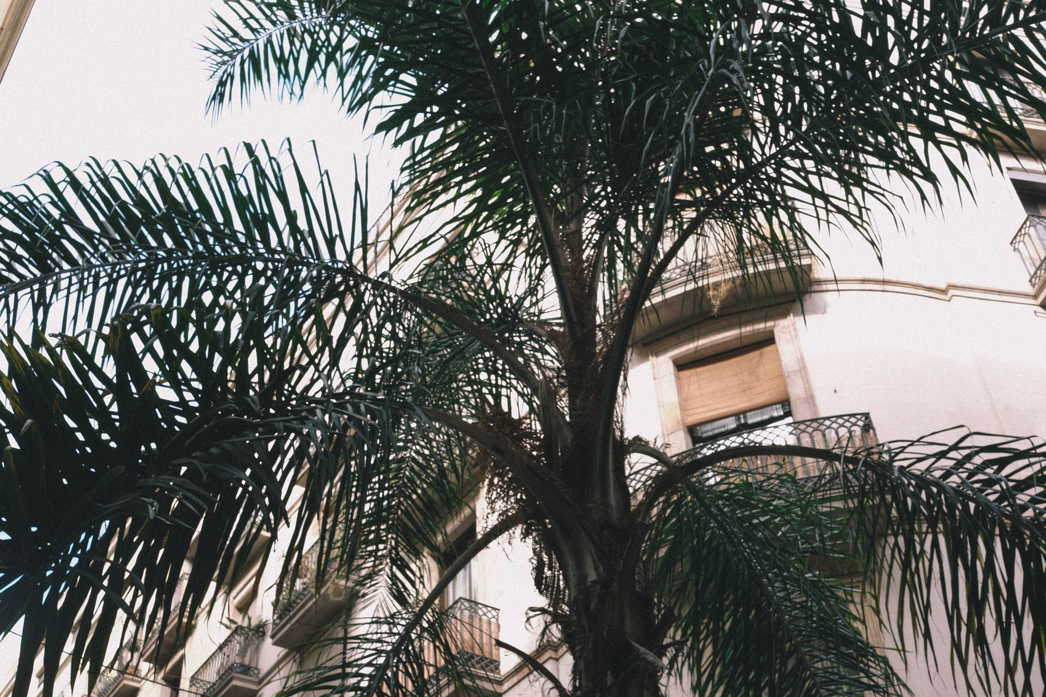 Fujifilm XF 27mm F2.8 sample photo. 2016 + barcelona photography