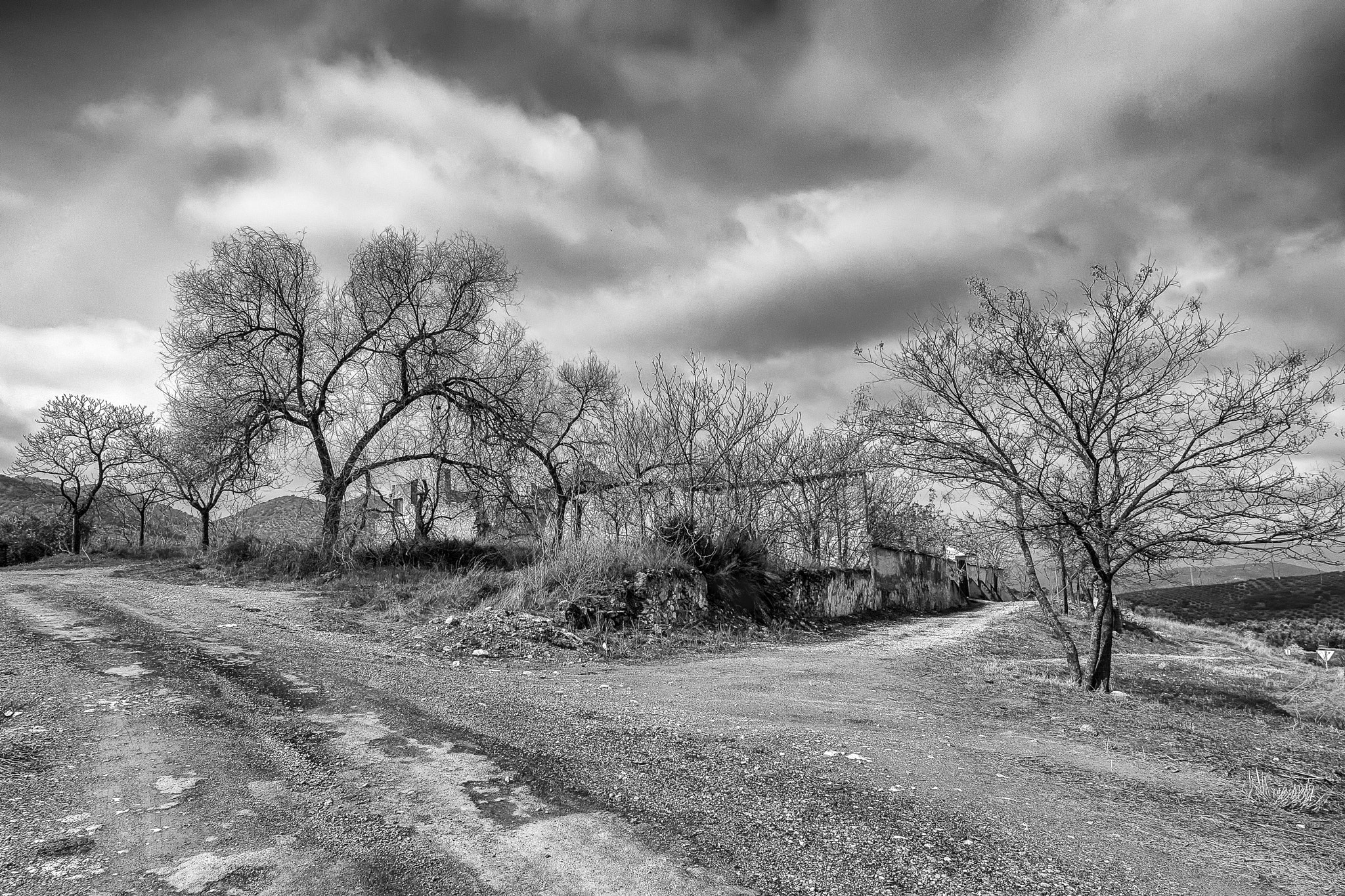 Tokina AT-X Pro 12-24mm F4 (IF) DX sample photo. Ruinas en blanco y negro. photography