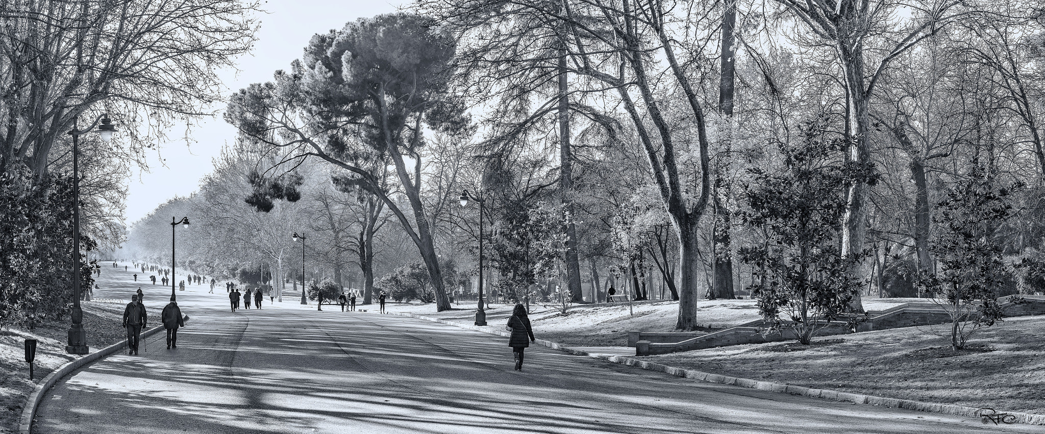 Sigma 105mm F2.8 EX DG OS HSM sample photo. El retiro. madrid photography