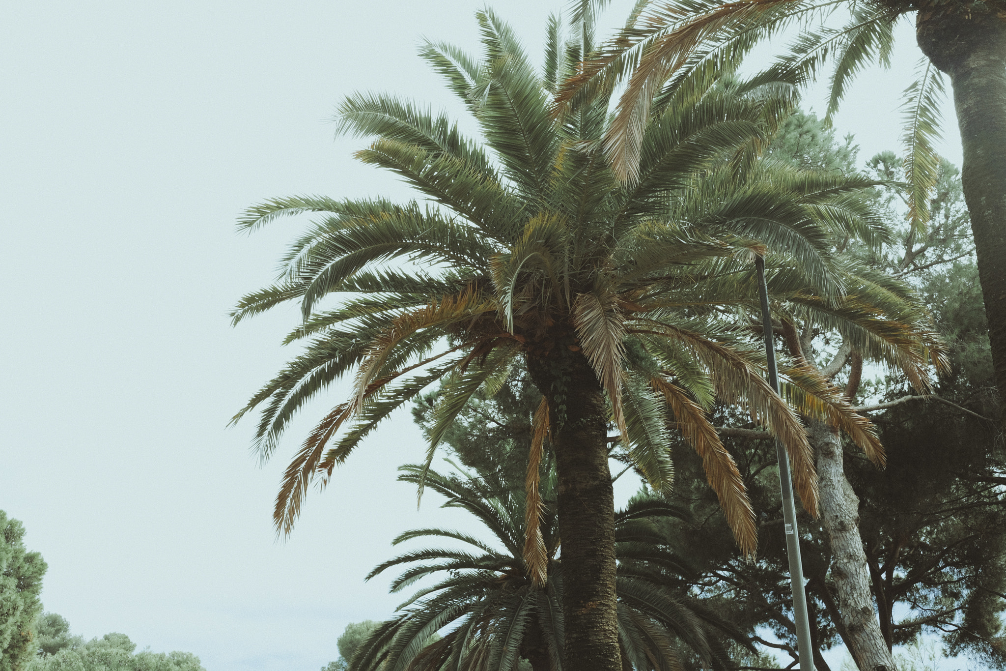 Fujifilm XF 27mm F2.8 sample photo. 2016 + barcelona photography
