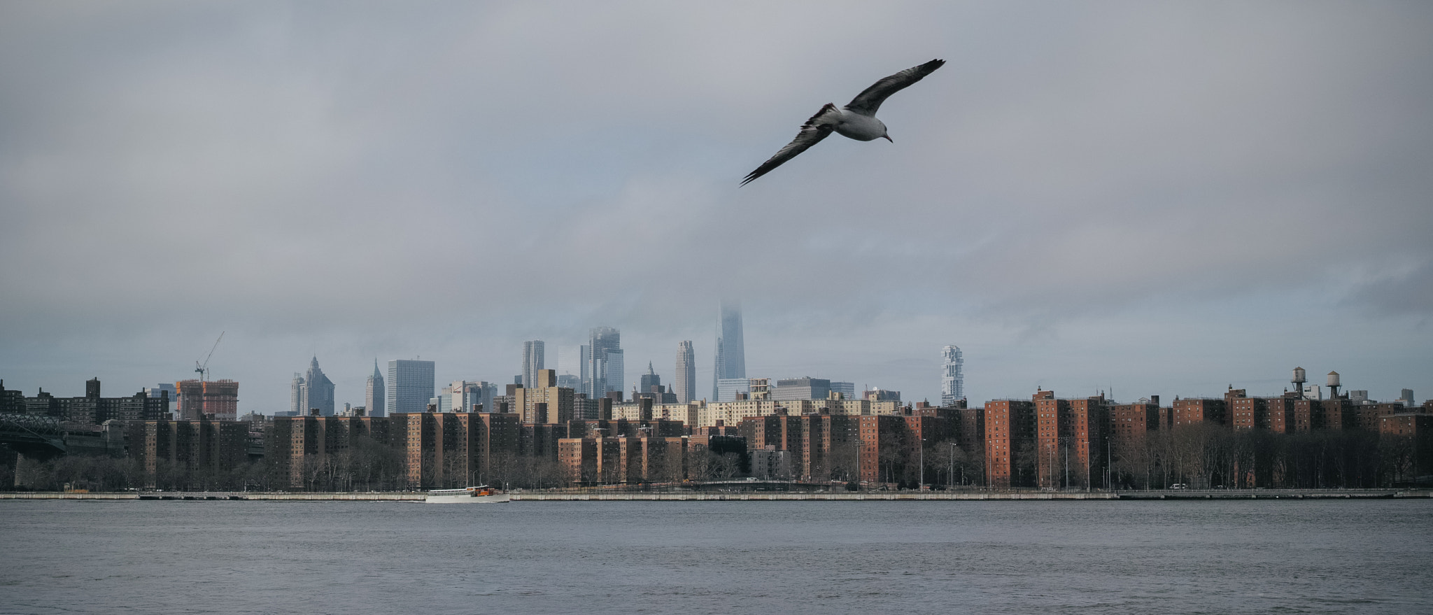 1007 sample photo. Downtown from williamsburg photography