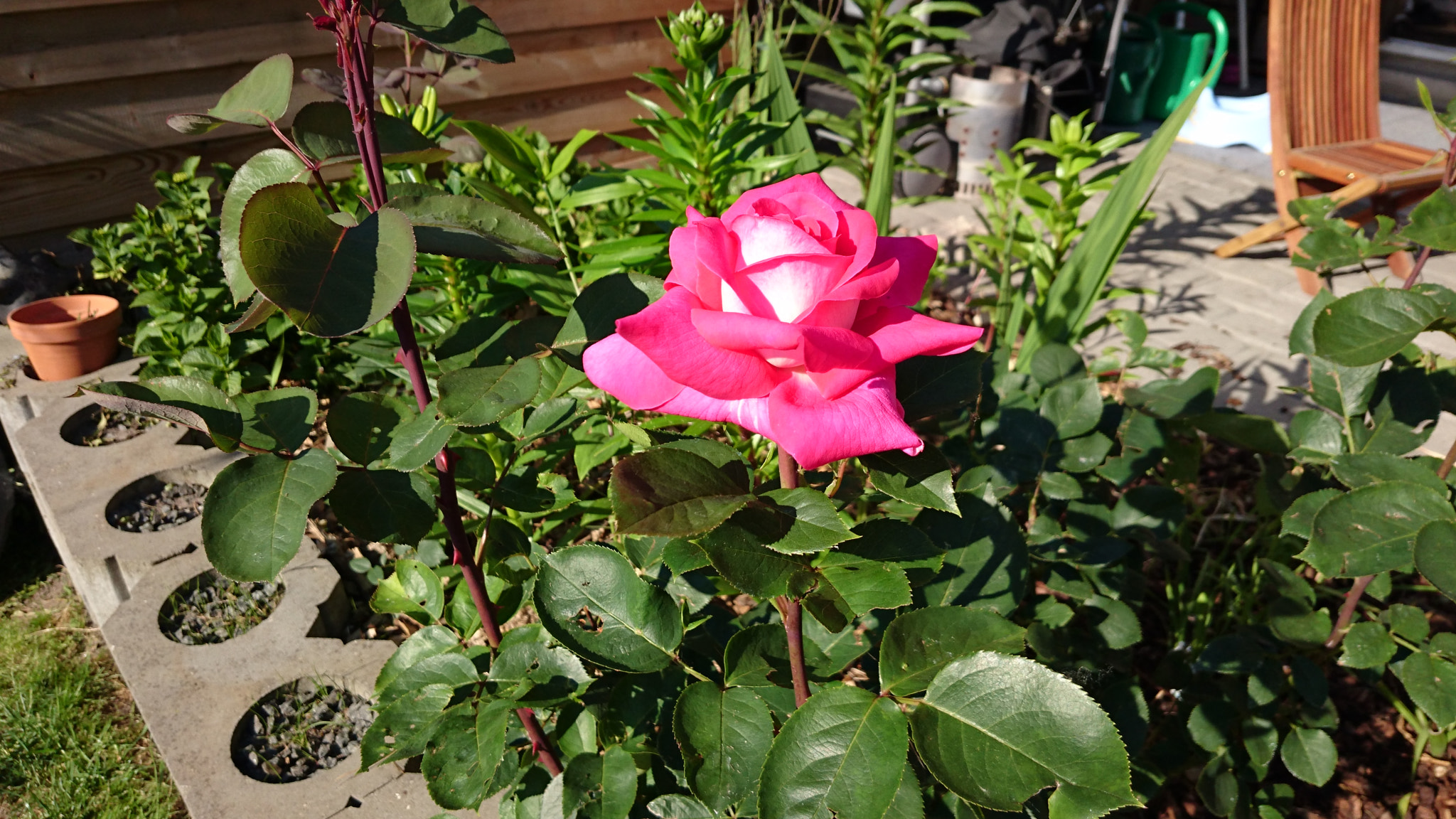 Sony Xperia Z3+ sample photo