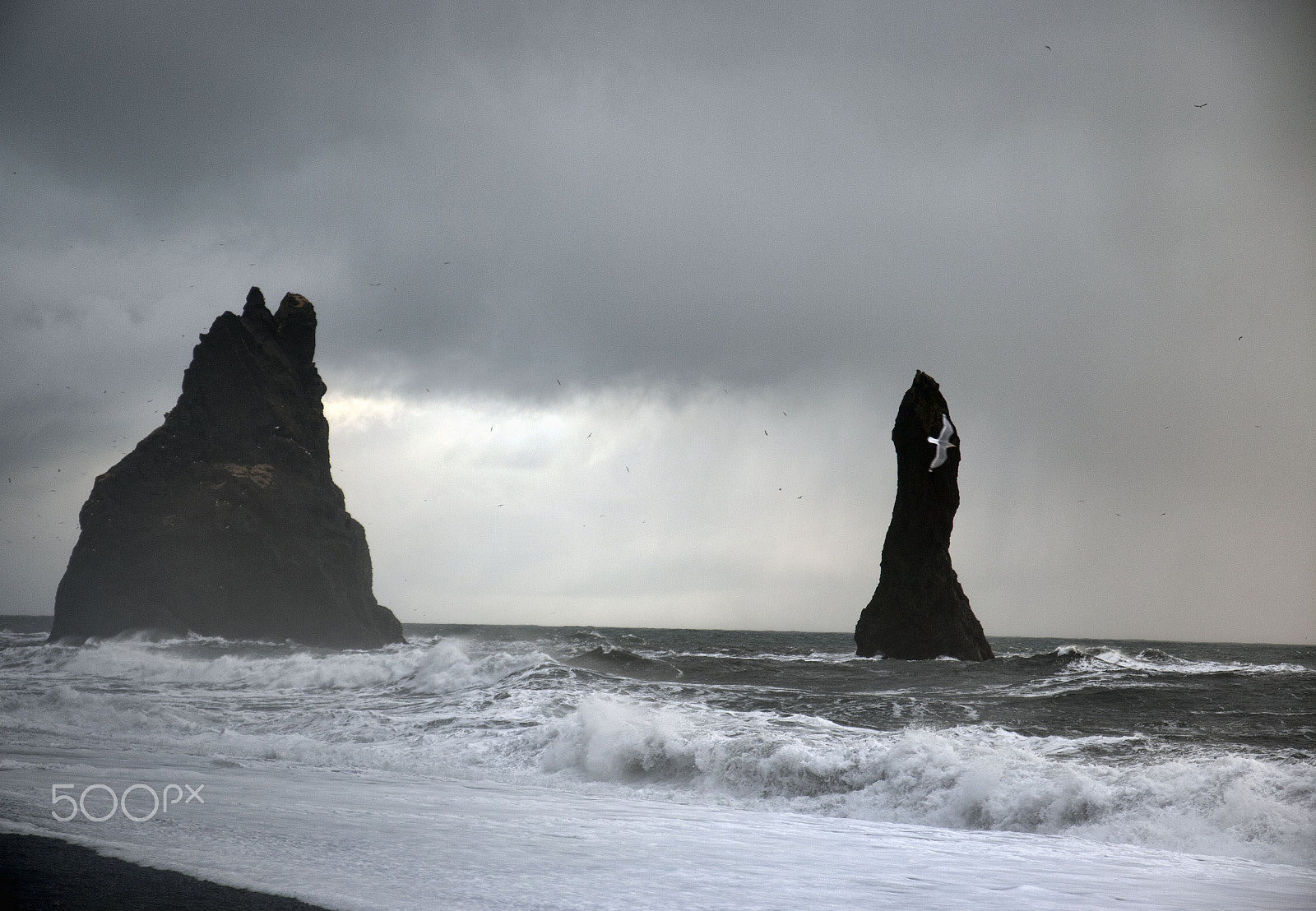 Sigma 17-70mm F2.8-4 DC Macro OS HSM sample photo. Reynisfjara photography