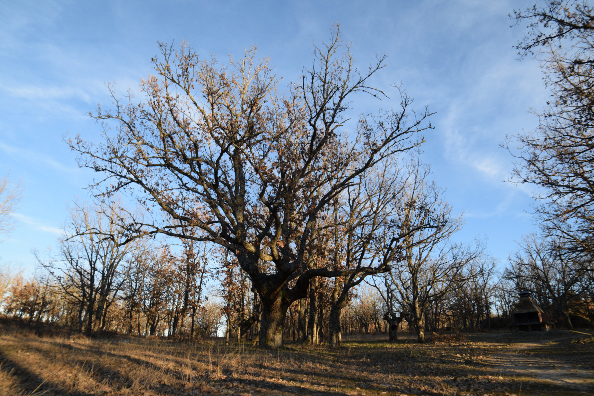 Samyang 14mm F2.8 ED AS IF UMC sample photo. Herreros photography