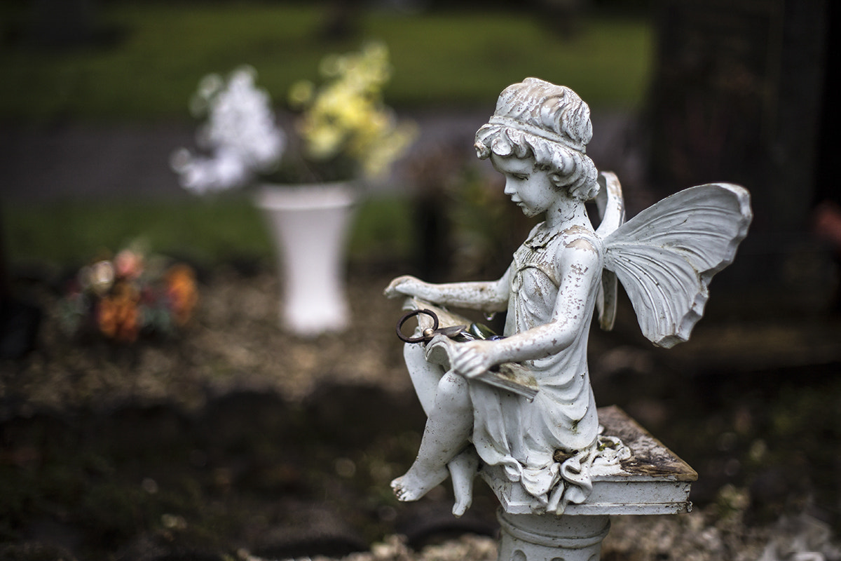 Canon EF 35-80mm f/4-5.6 sample photo. ... photography