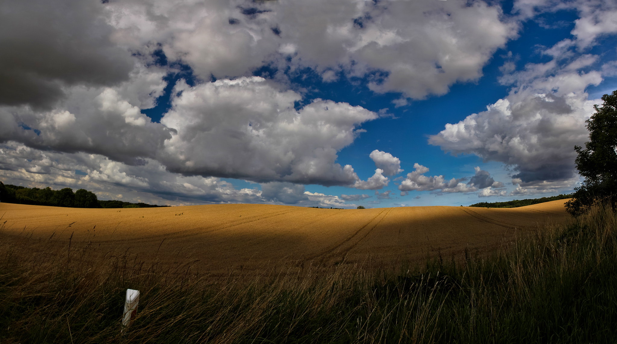 Canon EOS 550D (EOS Rebel T2i / EOS Kiss X4) sample photo. Clouds life photography