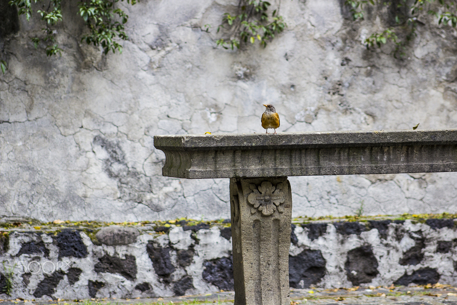 Canon EF 75-300mm f/4-5.6 USM sample photo. Esperando a la novia photography