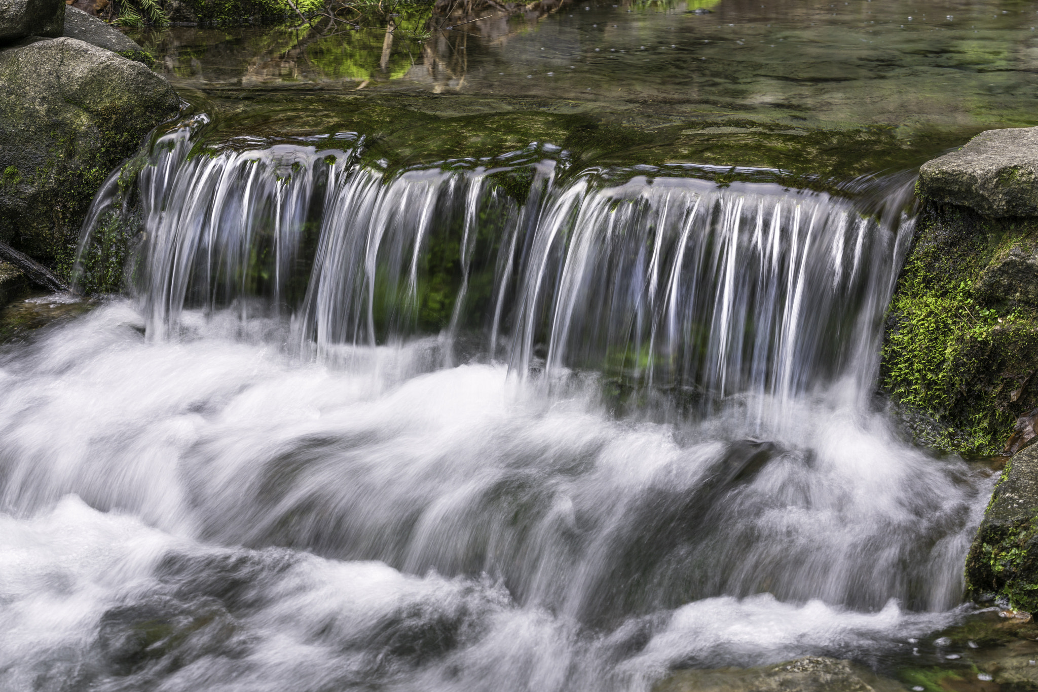 Canon EF 70-200mm F2.8L USM sample photo. Fern springs photography