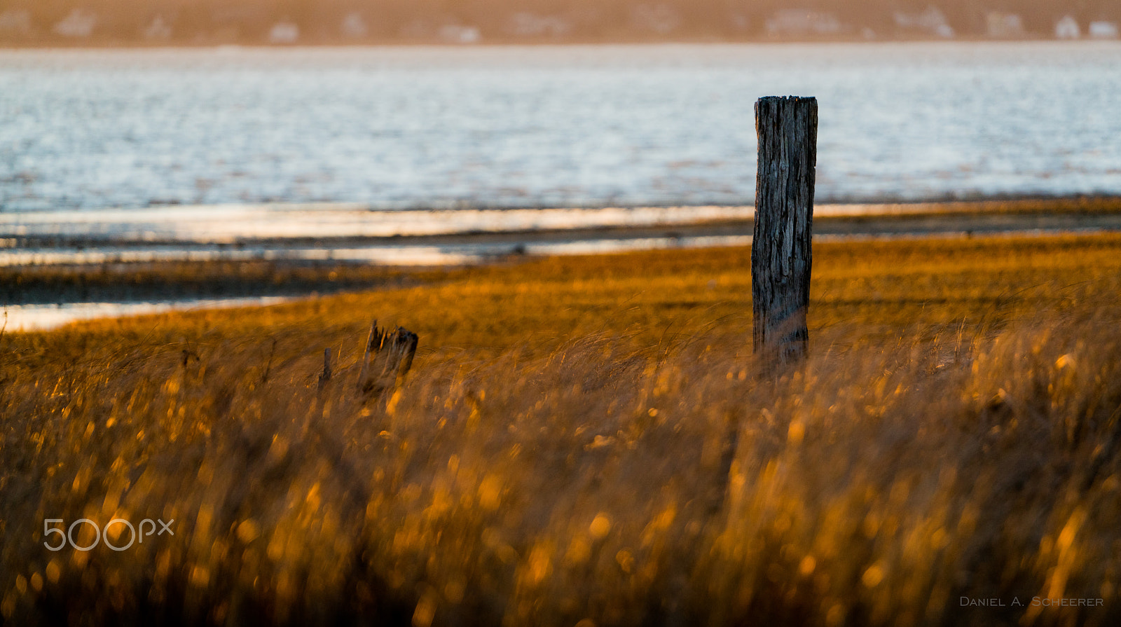 Sony FE 70-300mm F4.5-5.6 G OSS sample photo. Anchoring posts at low tide photography