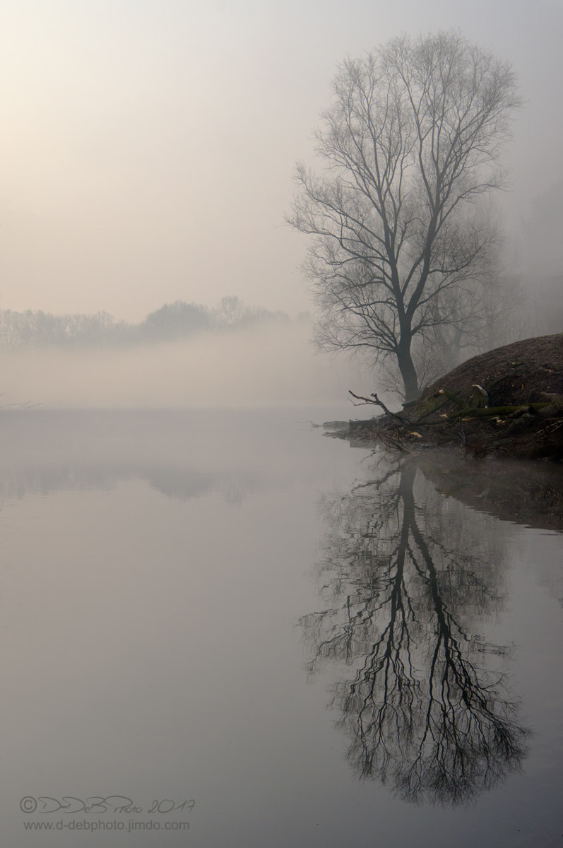 Pentax K-5 sample photo. Adda river photography