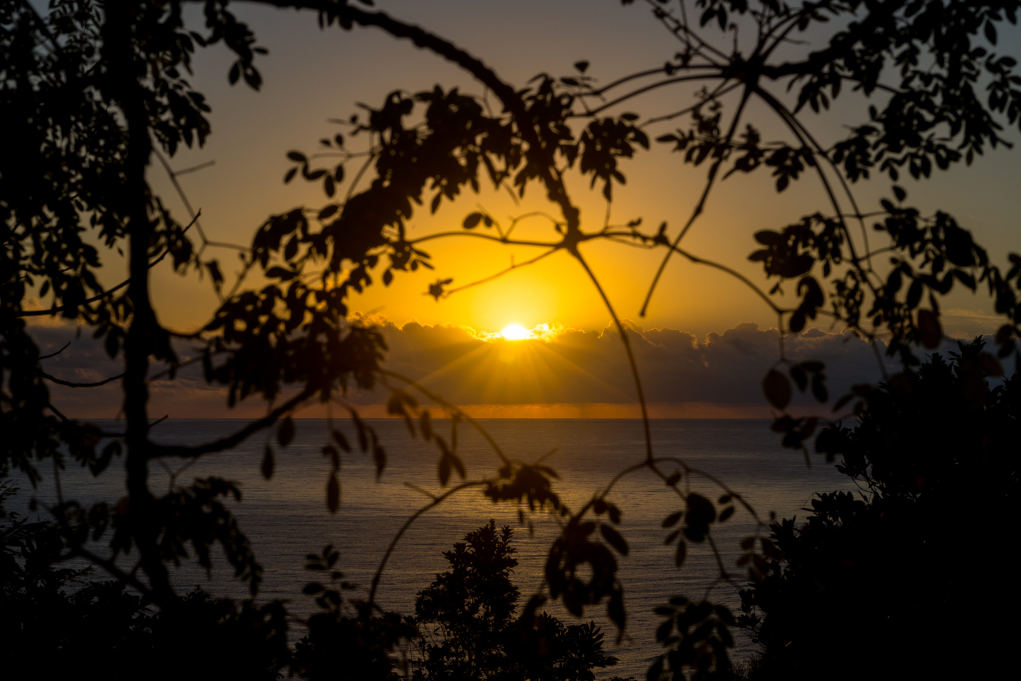 Nikon AF-S Nikkor 28-70mm F2.8 ED-IF sample photo. Jamaican sunrise photography