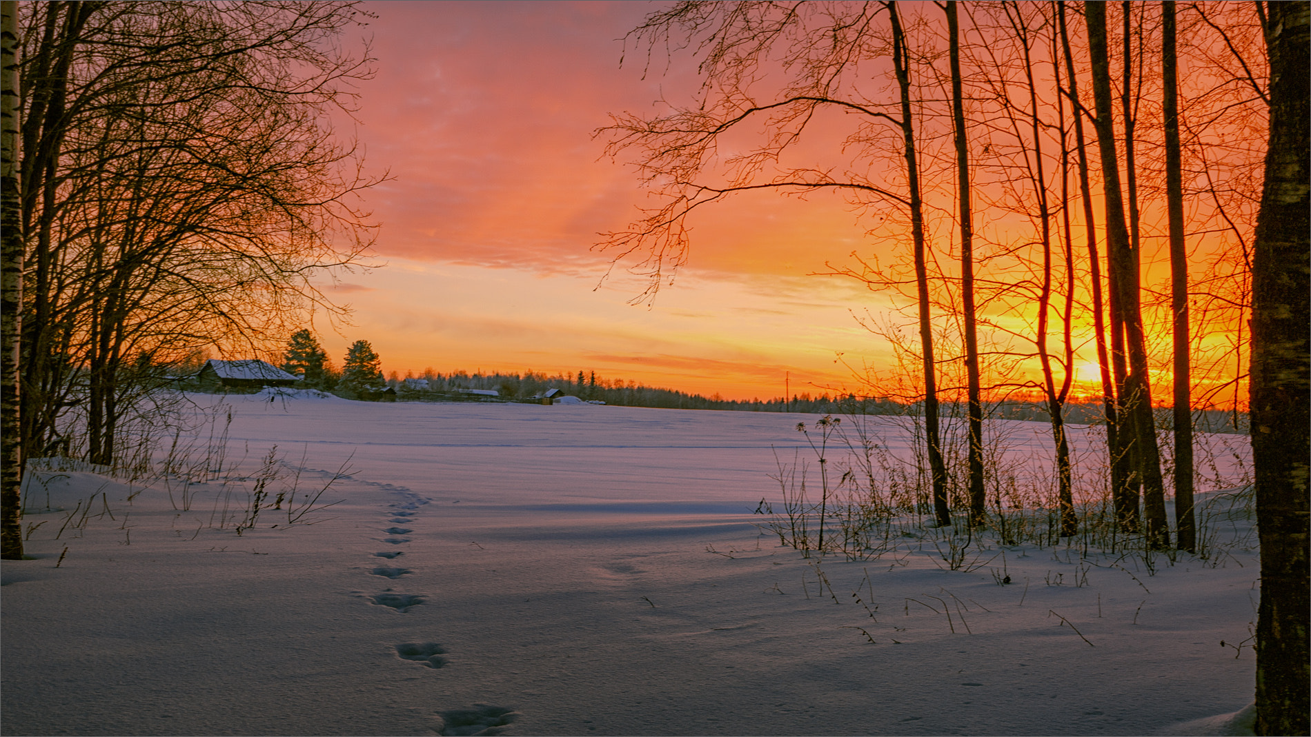 Canon EOS 450D (EOS Rebel XSi / EOS Kiss X2) + Canon EF 24-105mm F4L IS USM sample photo. Footprints at dawn... photography