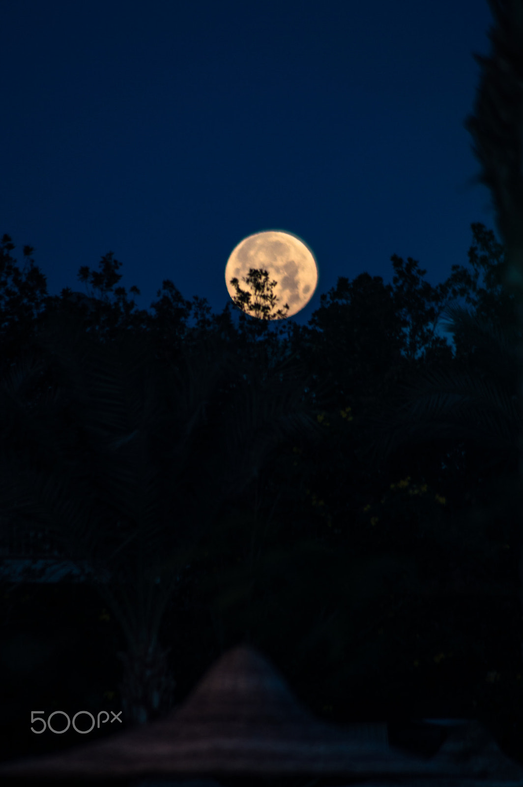 Nikon D3200 sample photo. At this nights photography