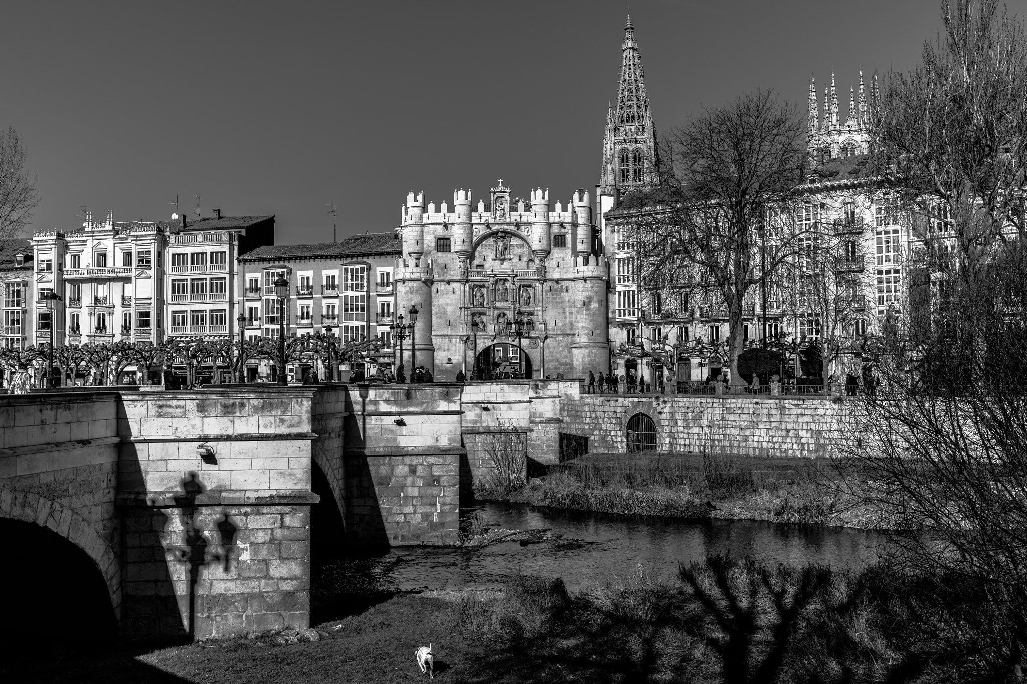 Canon EOS 5DS R + Canon EF 35mm F1.4L II USM sample photo. Catedral y arco de santa maria burgos photography