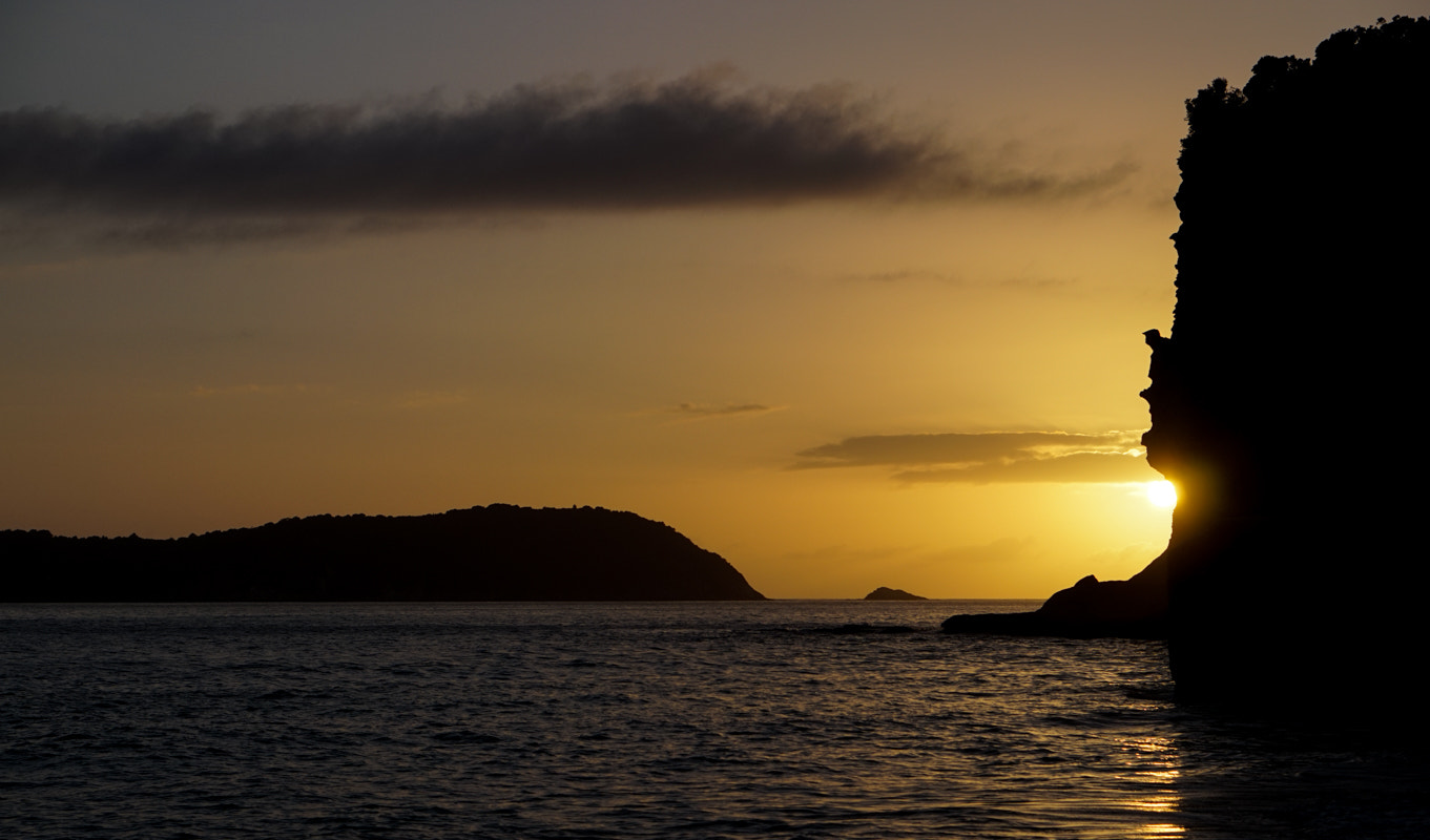 Sony Alpha a5000 (ILCE 5000) + E 50mm F1.8 OSS sample photo. Coromandel photography
