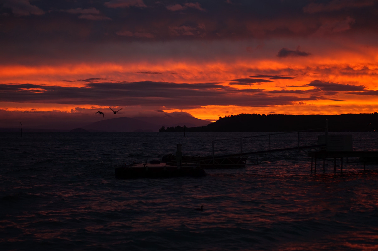 Sony Alpha a5000 (ILCE 5000) + E 50mm F1.8 OSS sample photo. Tongariro photography