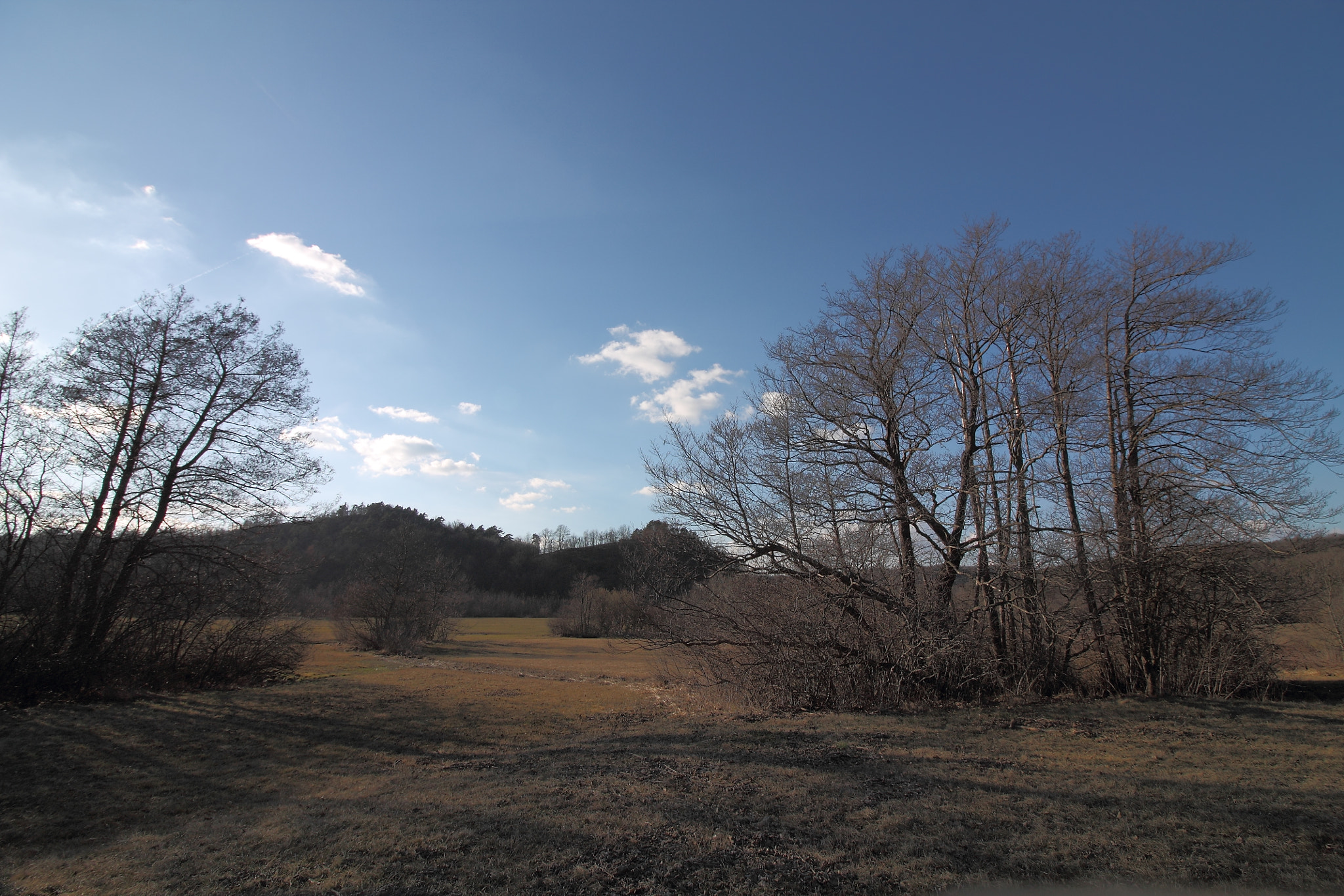 Canon EOS 1100D (EOS Rebel T3 / EOS Kiss X50) sample photo. Waiting for spring photography