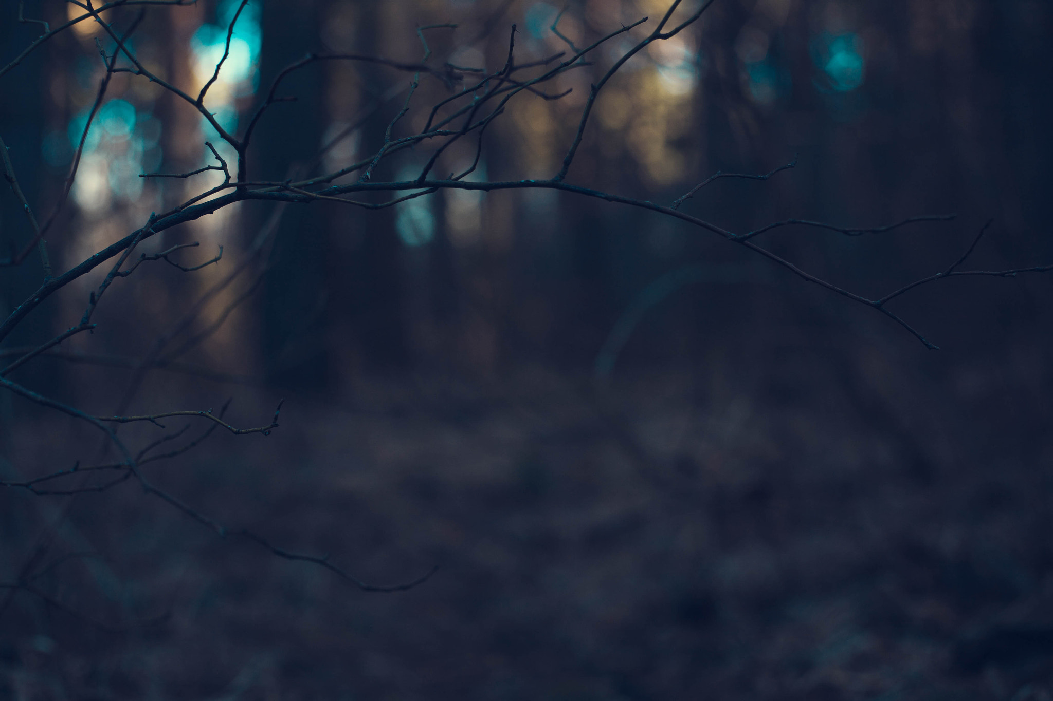 Canon EOS 5D + Canon EF 50mm F1.8 II sample photo. Img photography