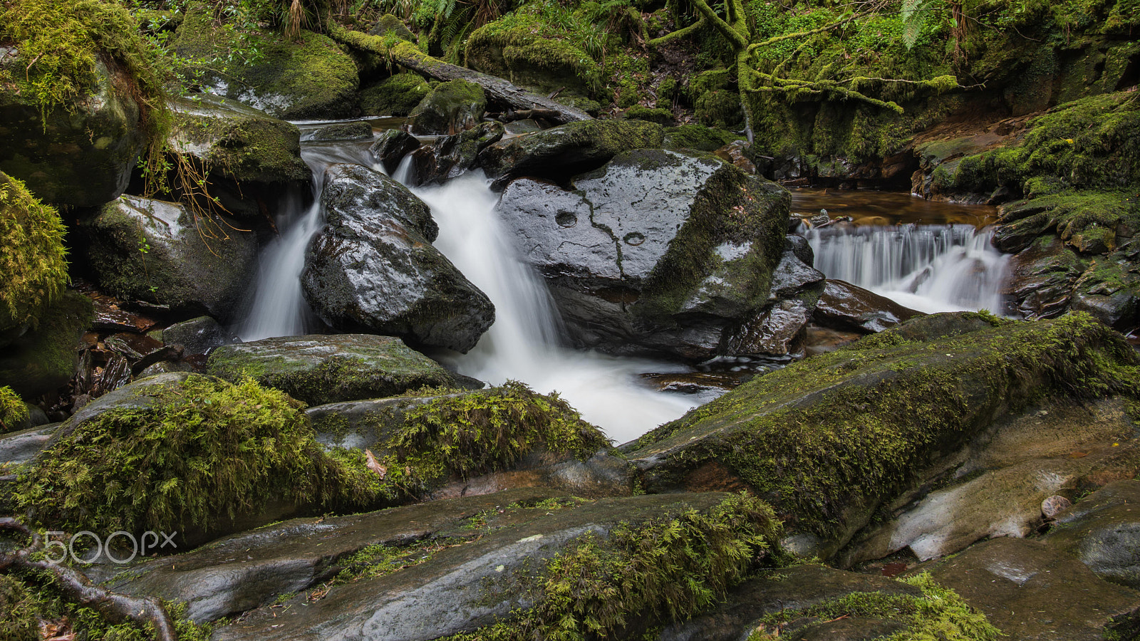 Nikon D810 + Nikon AF-S Nikkor 20mm F1.8G ED sample photo. Kerry stream photography