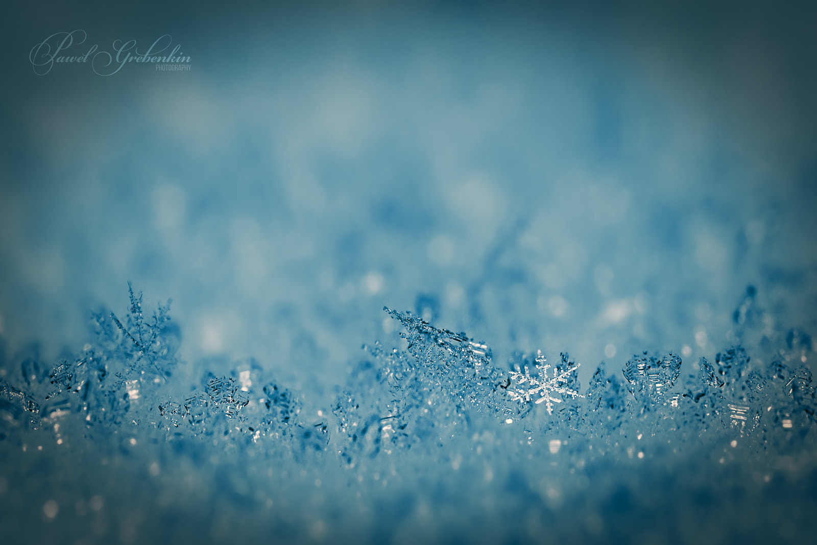 Canon EF 100mm F2.8L Macro IS USM sample photo. Snowflakes on ice photography