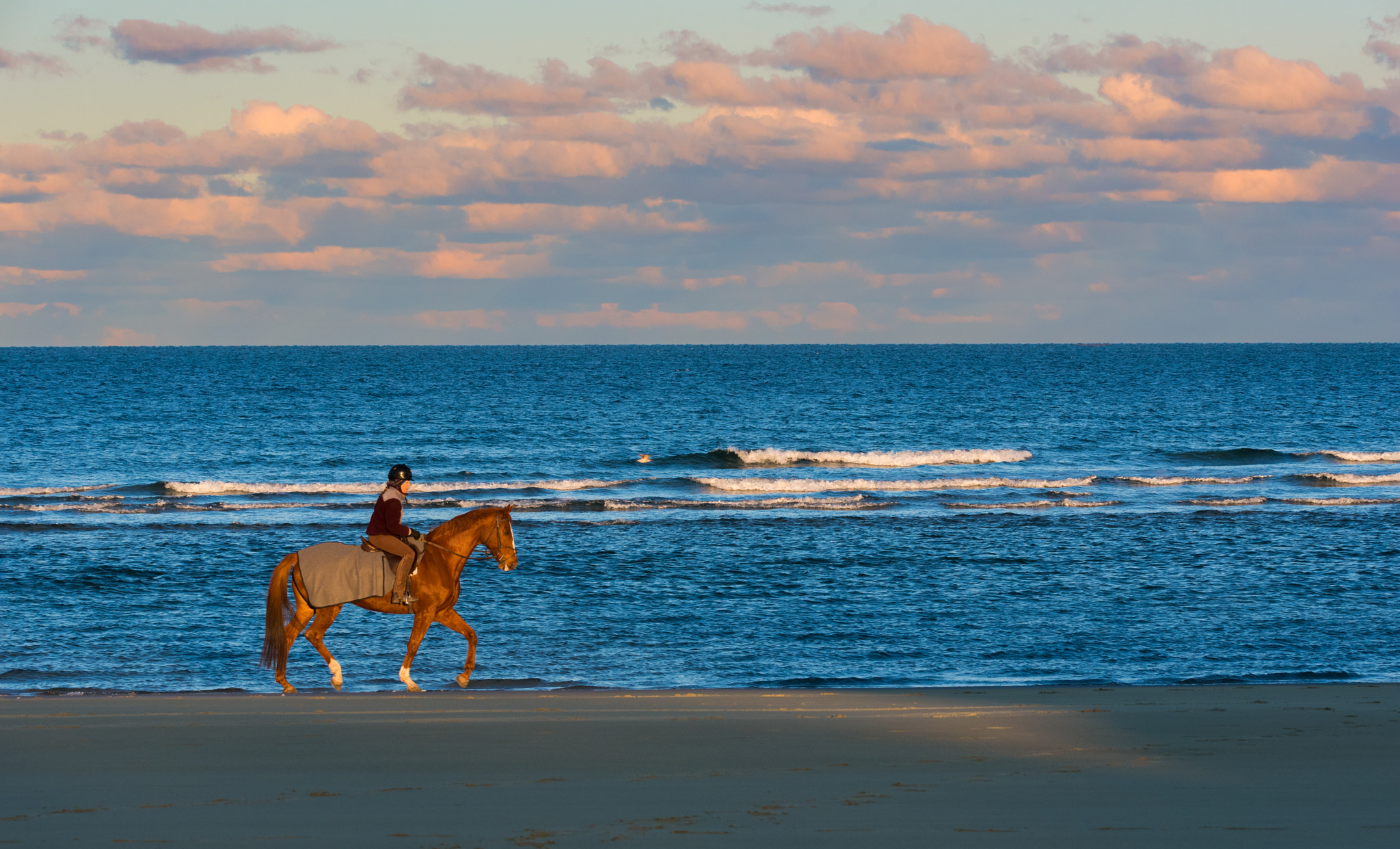 Nikon D750 + Sigma 150-600mm F5-6.3 DG OS HSM | S sample photo. Horse photography