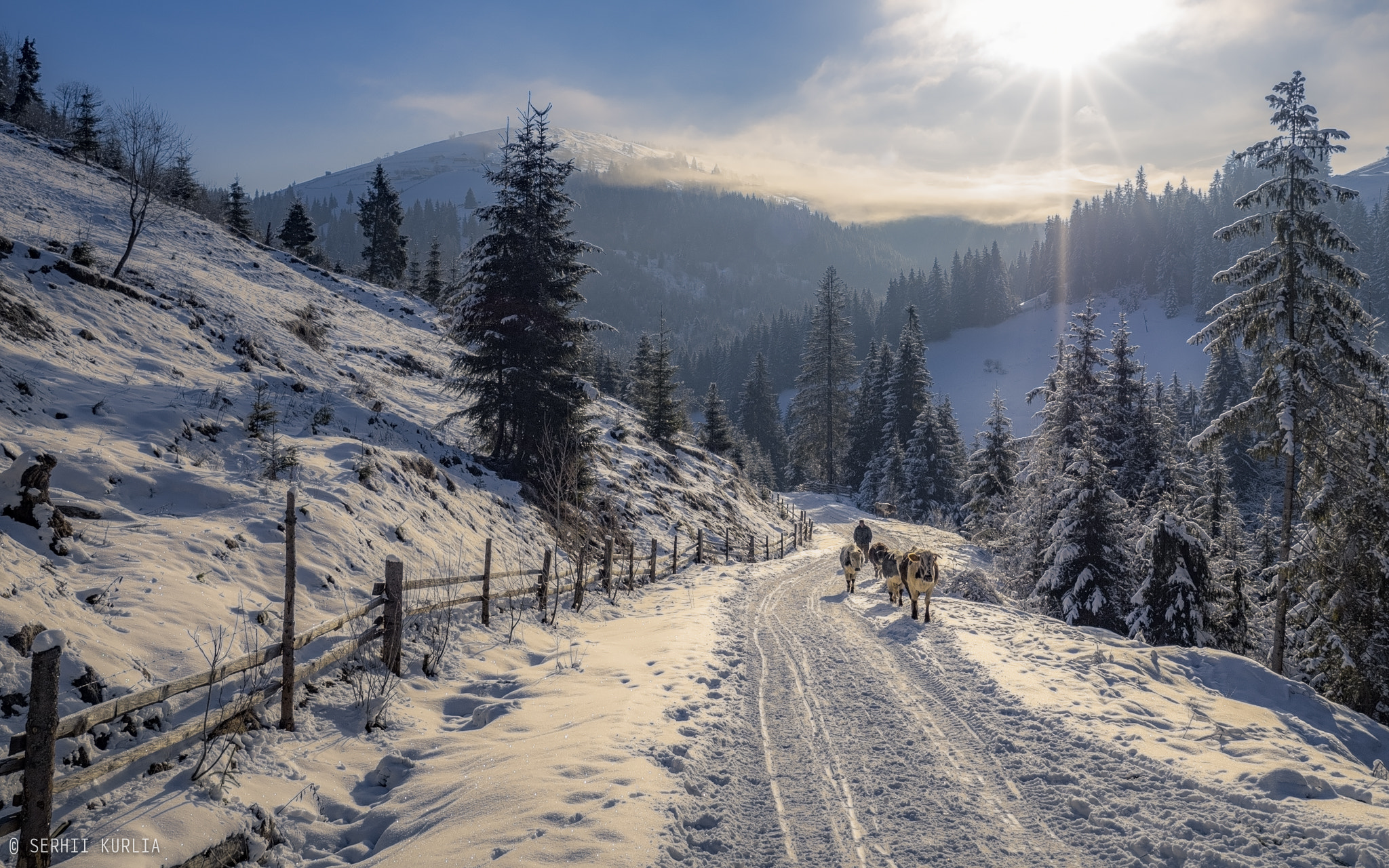 Olympus M.Zuiko Digital ED 7-14mm F2.8 PRO sample photo. Verkhovyna's roads photography