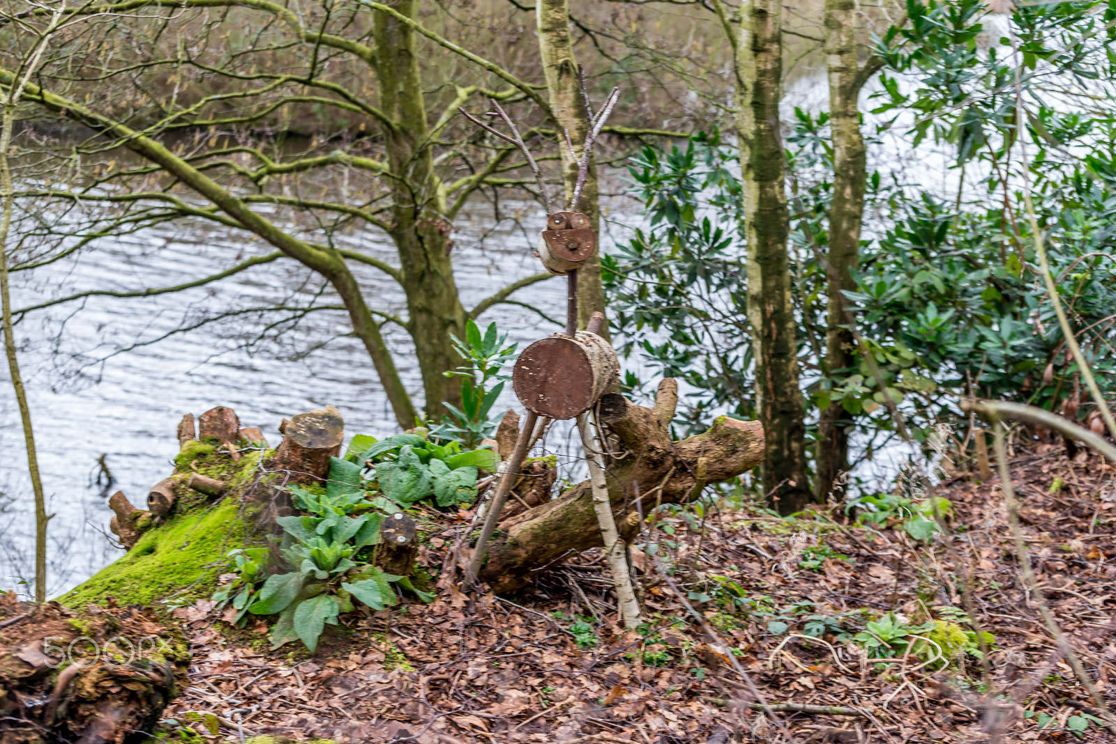 Nikon D800 sample photo. Wooden deer photography