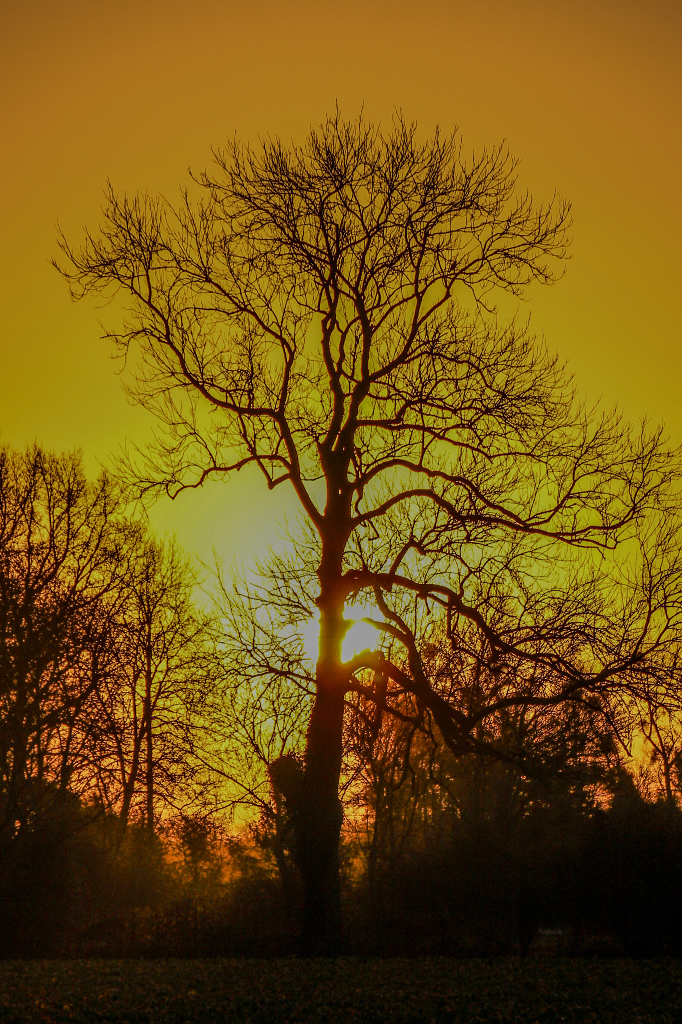 Canon EOS 100D (EOS Rebel SL1 / EOS Kiss X7) sample photo. Sunrise , lever de soleil 2 photography