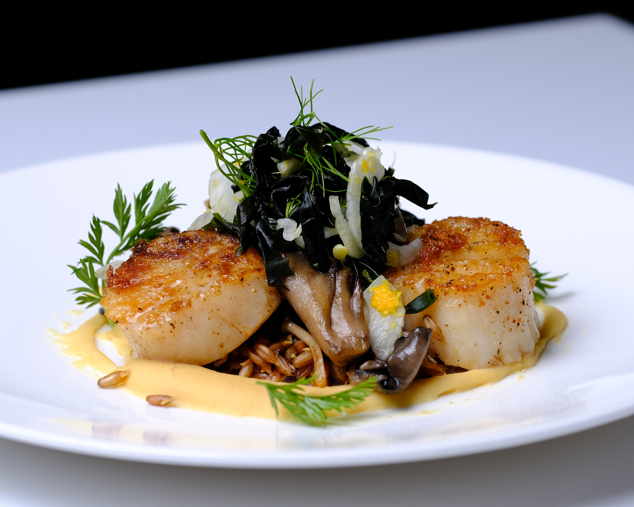 Fujifilm X-Pro2 sample photo. Seared digby scallops, yellow lentil puree, wake & shaved fennel photography